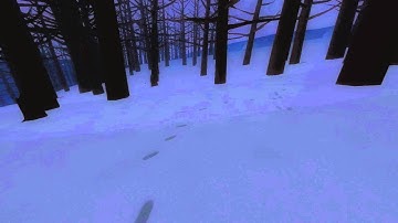 Neoaxis engine - Real footprints on snow #3
