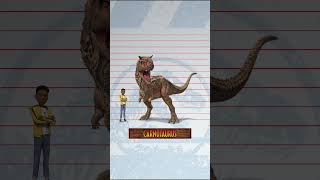 Are You Taller Than A T.rex?