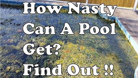 Nastiest Green Algae Swimming Pool Water EVER Cleared Up - Unbelievable Results