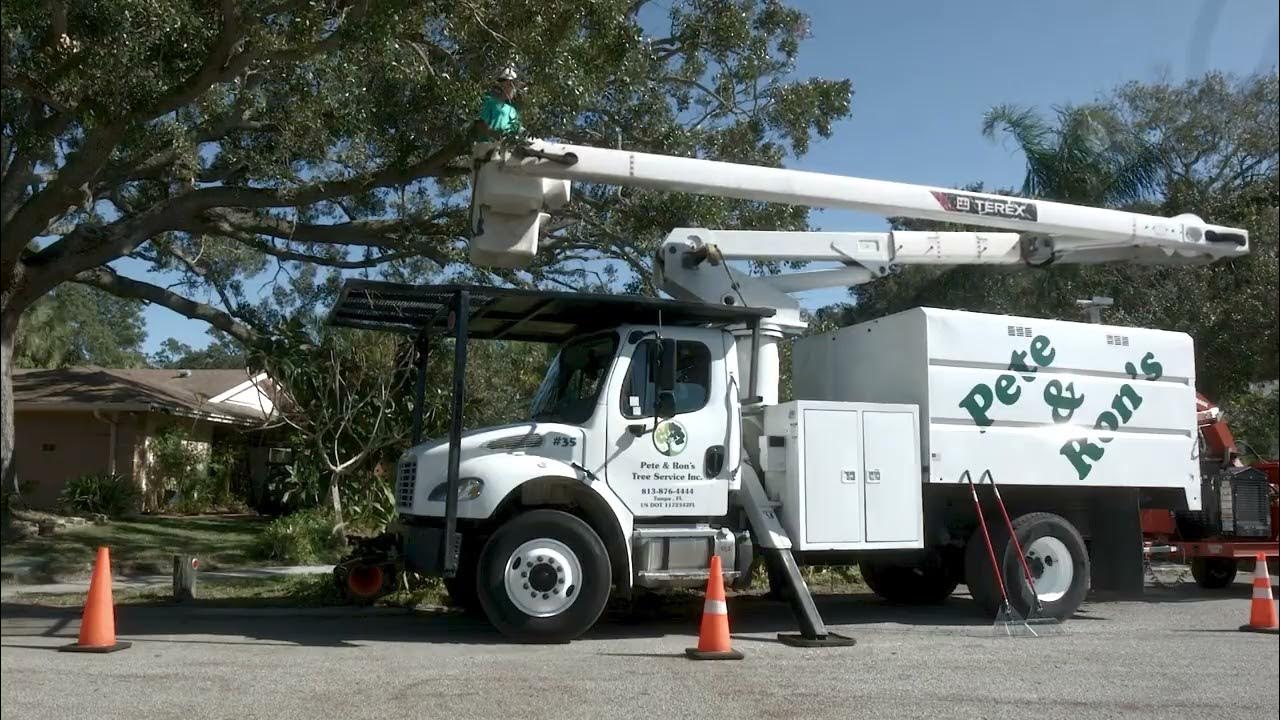 Pete & Ron's Tree Service Inc Tampa Florida 33614 - YouTube