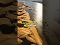 “Un lugar en Paraguay que parece el Sahara 🌍”