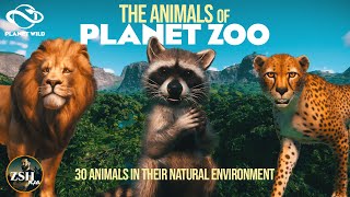 Planet Zoo Animals In Their Natural Habitats ¦ Planet Wild