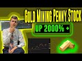 Top Gold Mining Penny Stock? | Up 2000%+