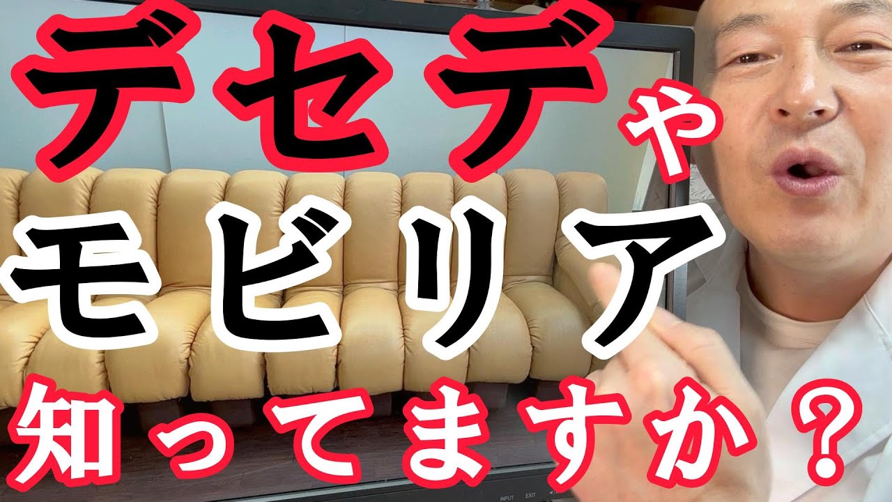 デセデスネークソファ モビリア 家具 モビリア de sede スネークソファ