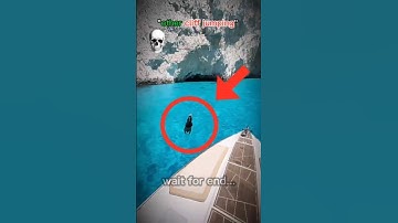 WOW! Cliff Diving Fails You Won