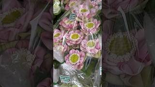 Lotus Flowers in Bangkok market beautiful lotus thailand shortsviral subscribe