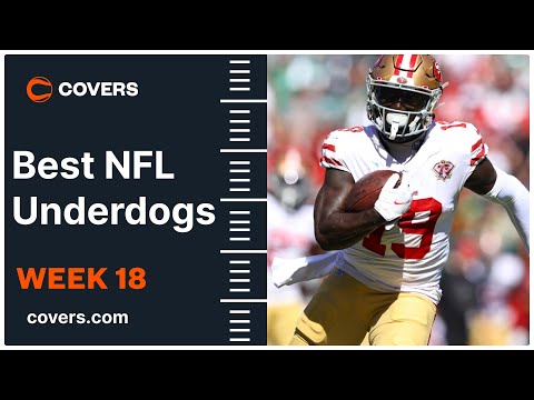 NFL Week 18 Odds, Picks & Predictions - Best Weekly Bets