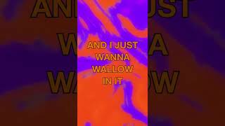 I just wanna wallow in it #lyricvideo #wallowinit #newmusic