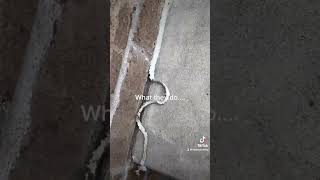 Concrete Sealing