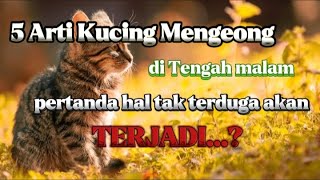 Download lagu 5 Arti Kucing Mengeong di Tengah Malam, Pertanda Hal Tak Terduga Akan Terjadi?