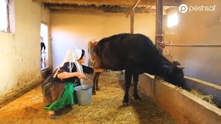 картинка: Бонуи пурҳунар-Анисаи Азиз дар қишлоқ