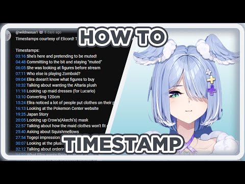 Elira Wonders How Timestampper Work