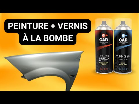 Kit Peinture Voiture à l'eau & Vernis EC3000 