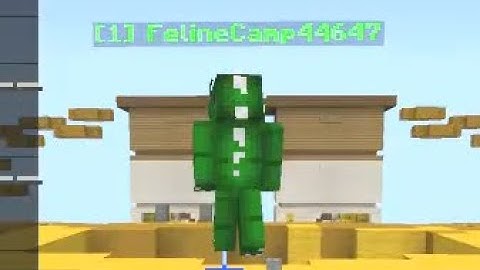FelineCamp44647 Hacking - CubeCraft (play.cubecraft.net) - 18th June 2020 - 14:08pm