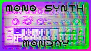 MONO SYNTH MONDAY 10 - Vintage TB-303 Pattern Creation, Jams, Sampling and Teardown