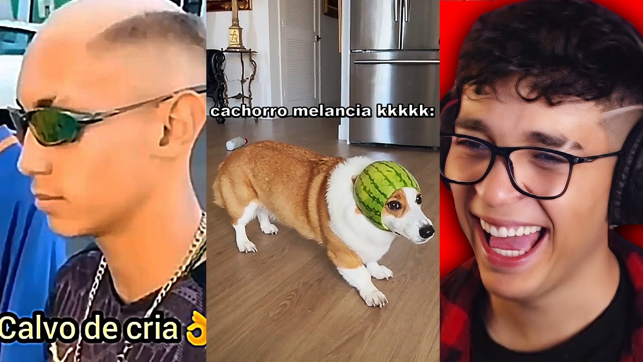 MOSTRANDO MEUS VÍDEOS SALVOS DO TIKTOK KKKKKKK