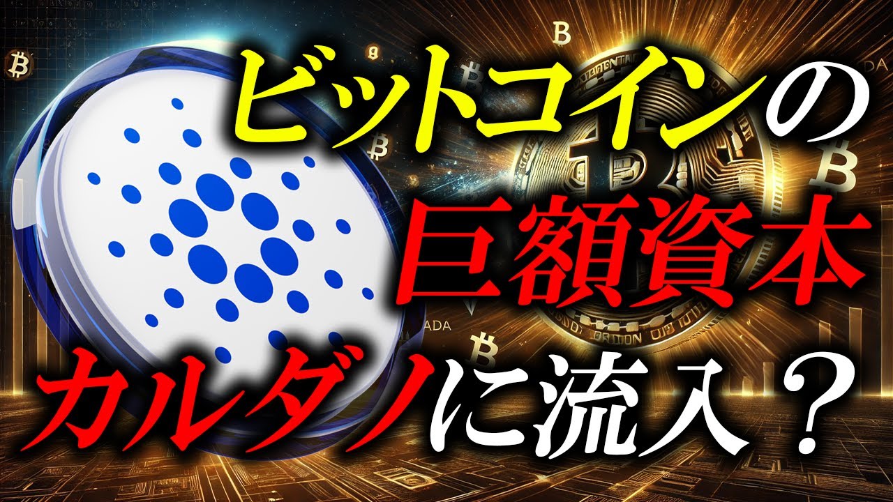 ADAがETHやSOLを超える日：ビットコインの巨額資産1％がカルダノに流入したら？ - YouTube