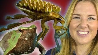 Celebrity Best Animal Dads: FATHERS' DAY SPECIAL | Zoo La La (Ep 31) | The Travel Edit Wealth