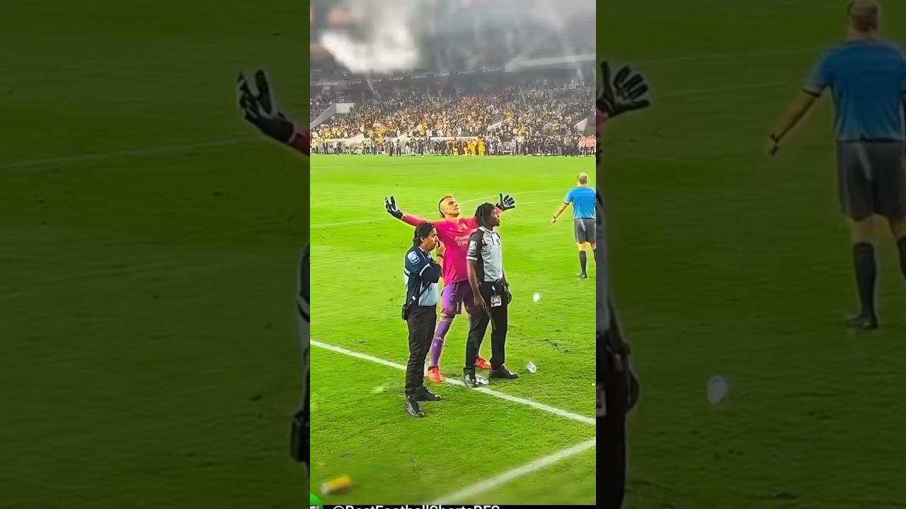 player vs fun audience 😄😃