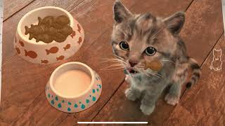 CARTOON LITTLE KITTEN ADVENTURE - CUTE KITTEN  GAMES FOR KIDS - FUNNY PET CARE KITTENS NEED A HOME!