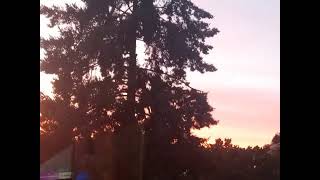Surreal Blazing Red Sunset over Eugene,Oregon | Pacific Northwest Skies