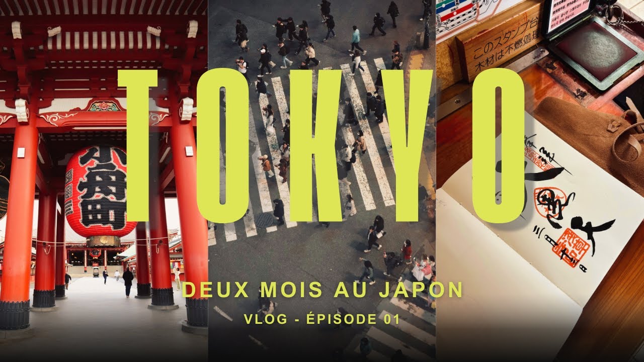 Tokyo - Akihabara,  Asakusa (Senso-ji), Tokyo tower, Ikebukuro, Harajuku (Meiji-jingu), Shibuya