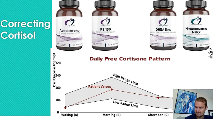 Tired?  The Adrenal Fatigue Answer