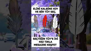 Eli̇ni̇ Kalbi̇ne Koy Ve Bi̇r Tüy Seç Tarot Açilim Resimi