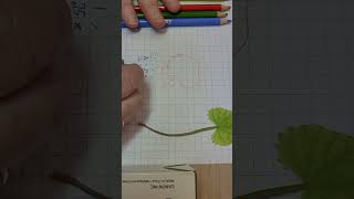 Using a CM Grid Overlay or Graph Paper to Measure an Irregular 2D Shape