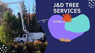 jd tree service TN