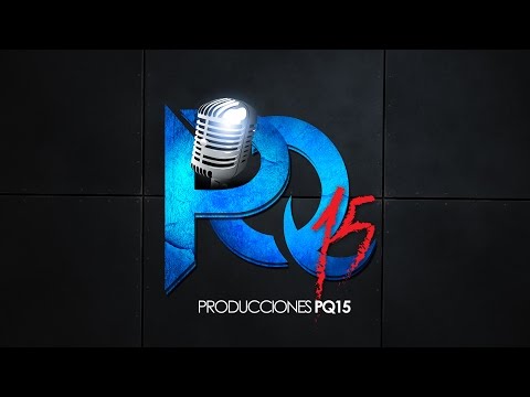 PRODUCCIONES PQ 15