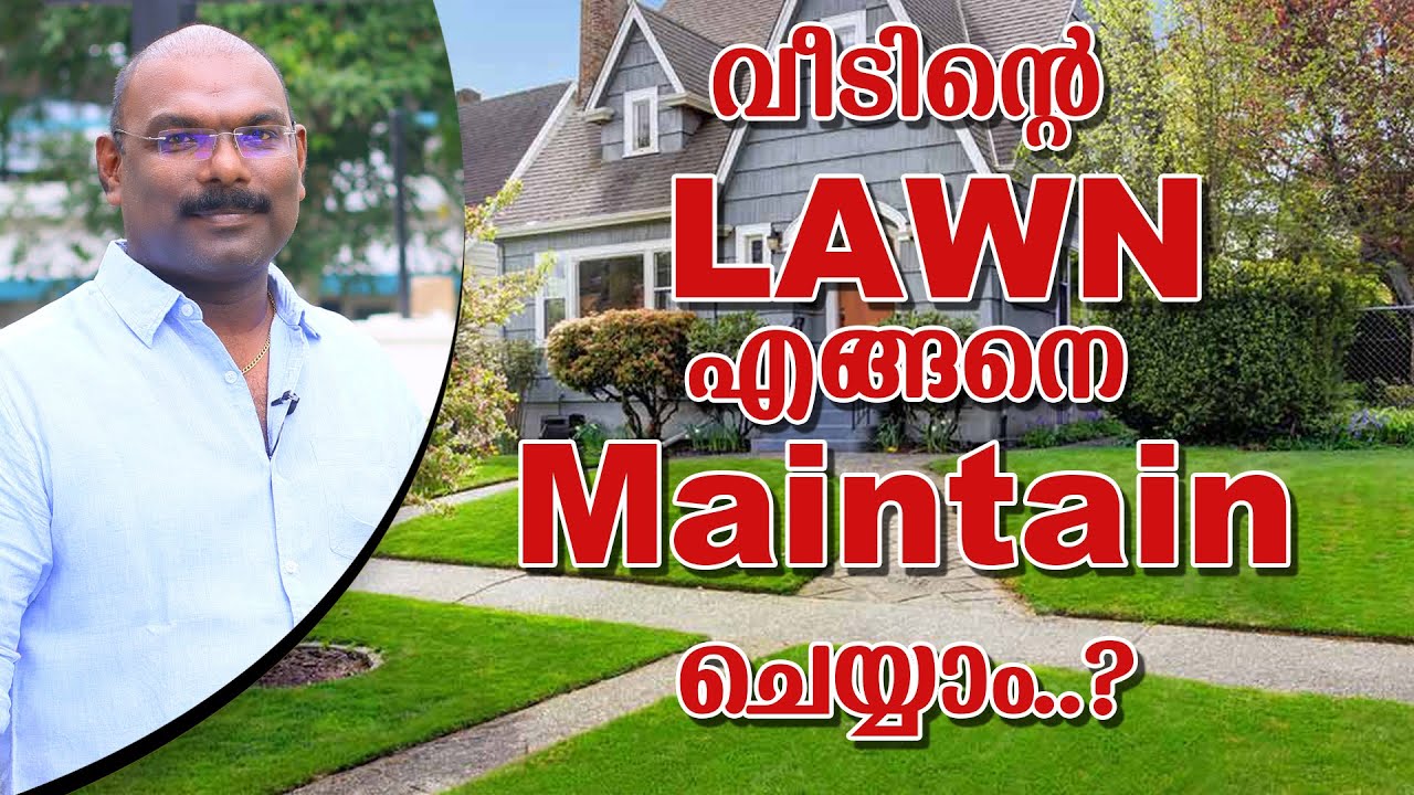How To Maintain Lawn How Can We Cut The Lawn Fast And Perfect how-to-maintain-lawn-how-can-we-cut-the-lawn-fast-and-perfect
