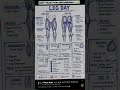 Complete Leg Workout Guide | Build Bigger Legs Fast 🔥 #viral #legday