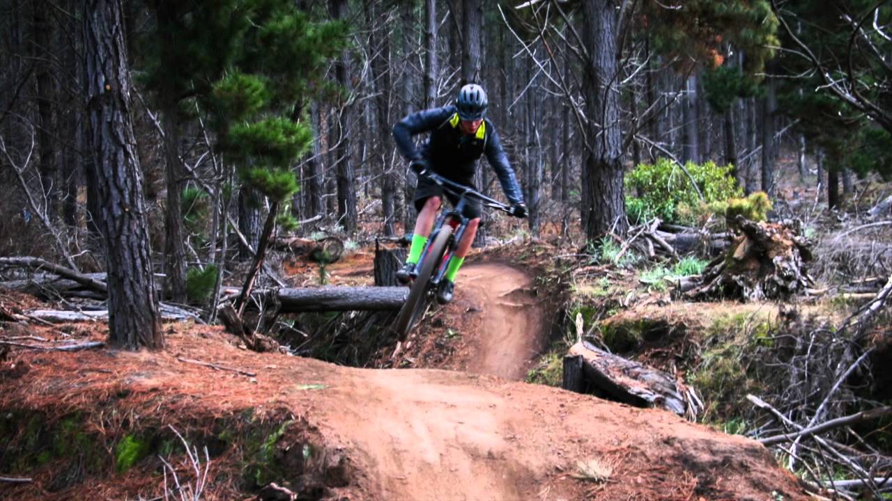 the pines mountain bike trails