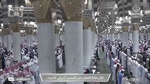 تلاوة خاشعة للشيخ #عبدالمحسن_القاسم من #سورة_القدر و #سورة_الزلزلة في صلاة المغرب من المسجد النبوي