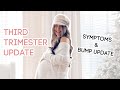 Third Trimester Pregnancy Update | SYMPTOMS &amp; BUMP UPDATE!