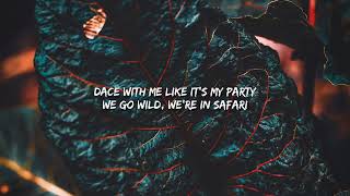 SERENA - SAFARI (song lyrics)