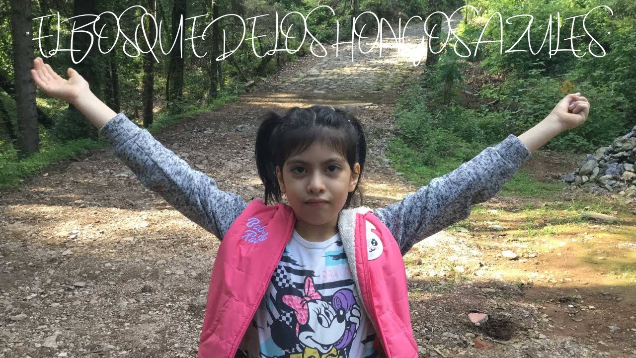 Visitando EL BOSQUE DE LOS HONGOS AZULES.