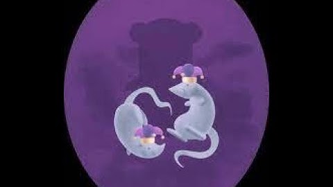 | ADOFAI | World 11X - Heracles