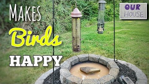How to Build a Bird Sanctuary - Bird Bath - OurHouse Channel