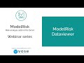 ModelRisk Dataviewer