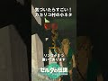 【謎】気づいたらすごい！カカリコ村の小ネタ【ティアキン】