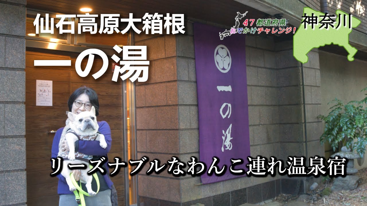 【箱根】飲み放題＆貸切露天風呂！愛犬と泊まれる「大箱根一の湯」がコスパ最強すぎて大満足の旅でした