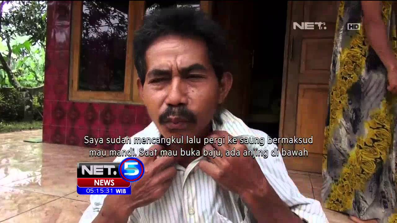 13 Warga Menjadi Korban Gigitan Anjing Rabies Net5 Youtube