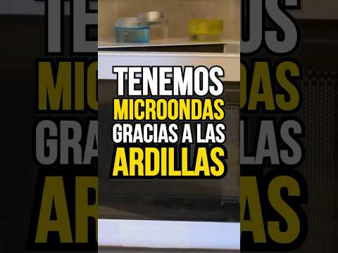 Tenemos MICROONDAS gracias a las ARDILLAS
