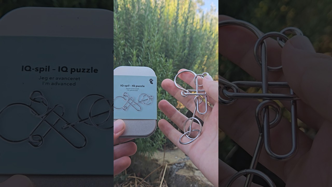 Tiger IQ puzzle solution (advanced)