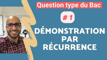 QUESTION TYPE DU BAC #1 : Démonstration par récurrence