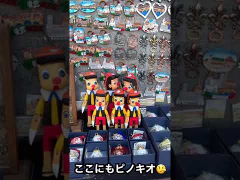 何で？フィレンツェにピノキオが一杯あるん？【イタリアVlog