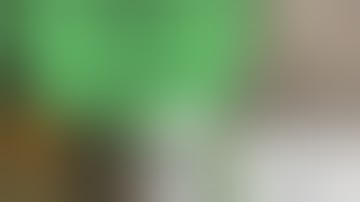 Seed to Harvest: Week 1 in RDWC/DWC system