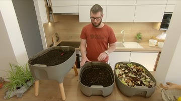 Vermicomposting step-by-step
